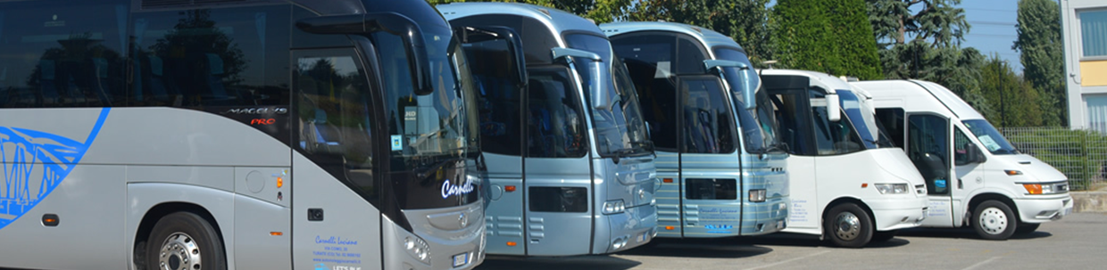 flotta autobus a noleggio carnelli