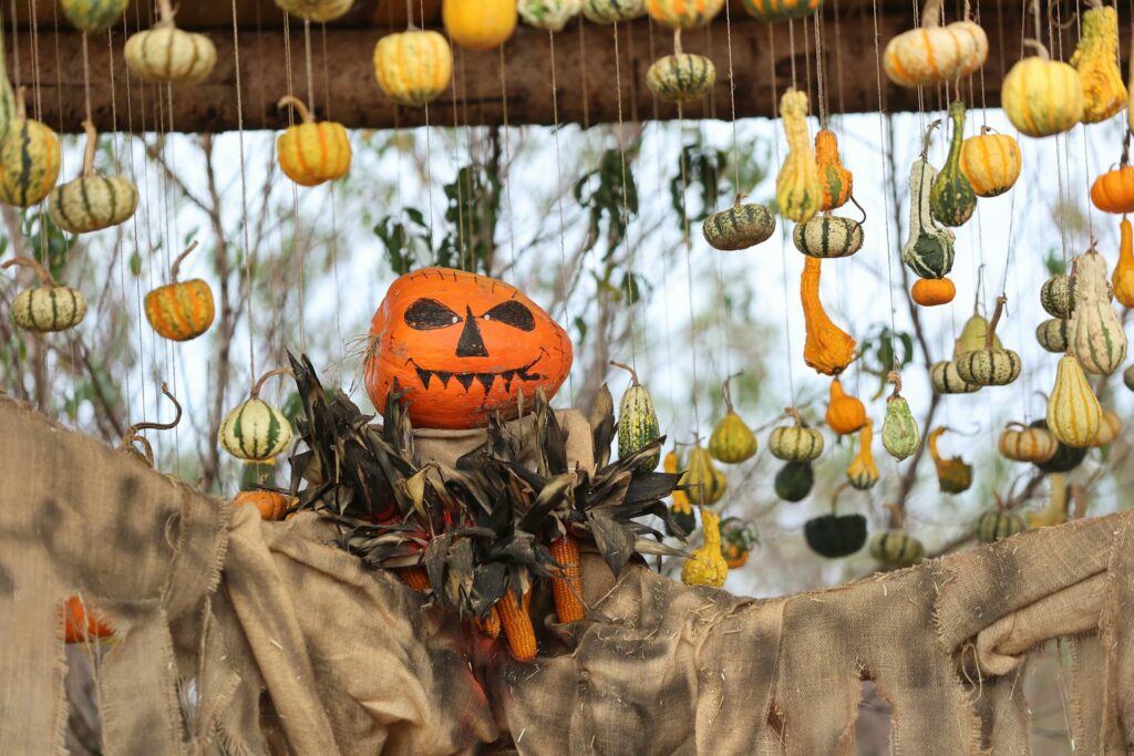 Halloween Pumpkin Patch a Milano e dintorni in tour con bus a noleggio