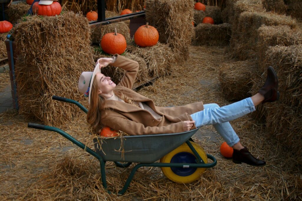 Visita i pumpkin patch ad Halloween: gite in Lombardia con Carnelli Bus NCC