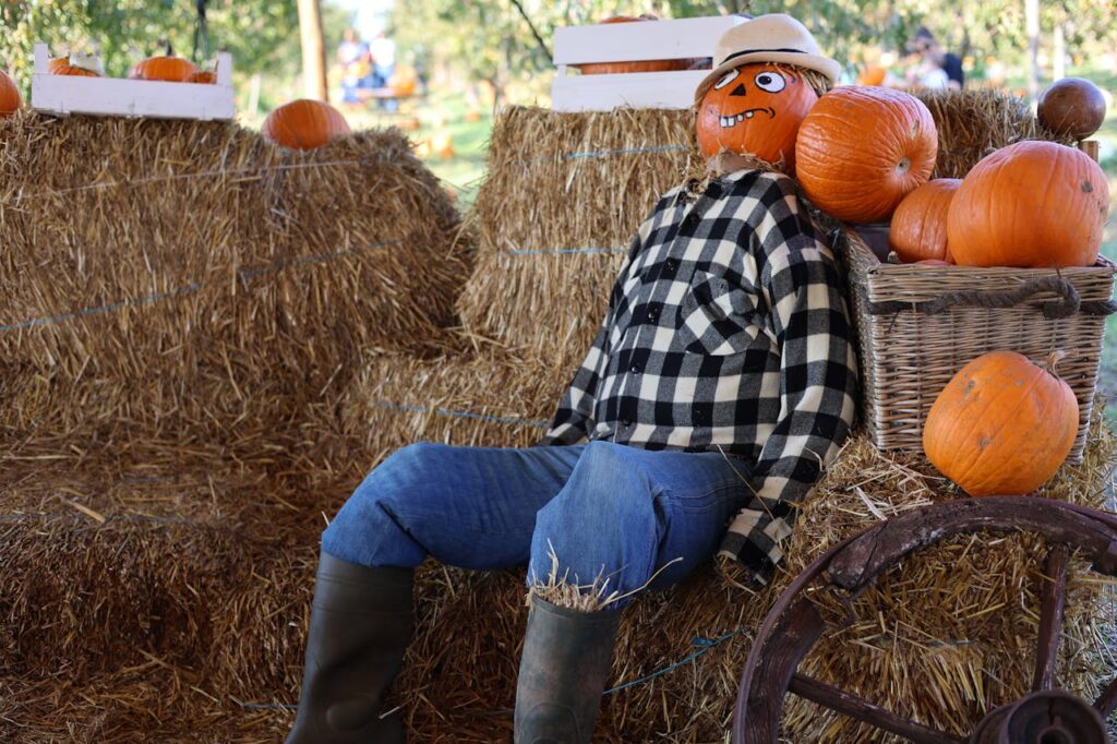 tour dei pumpkin patch in lombardia per halloween con autonoleggio carnelli