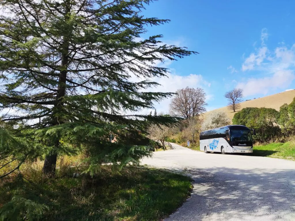 Costi noleggio autobus