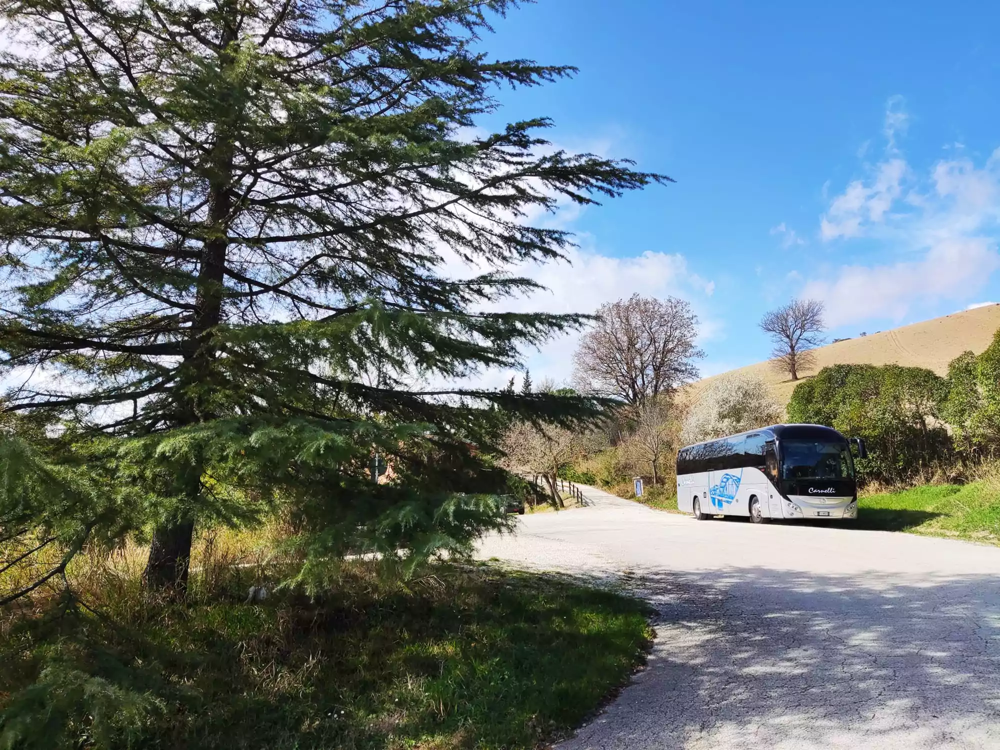 Costi noleggio autobus