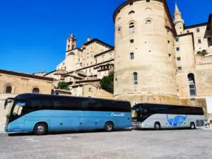Noleggio Autobus per gite scolastiche