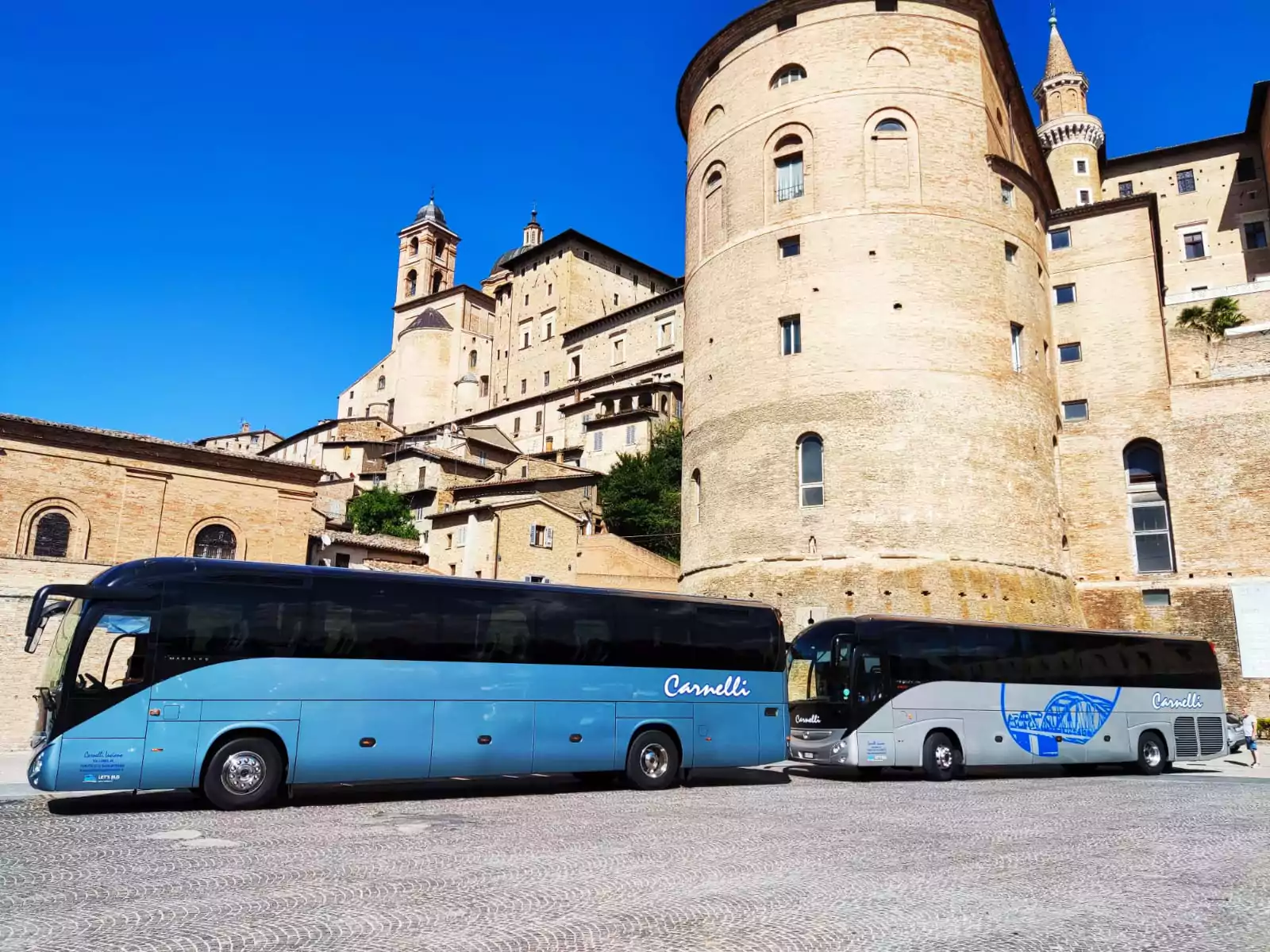 Noleggio Autobus per gite scolastiche