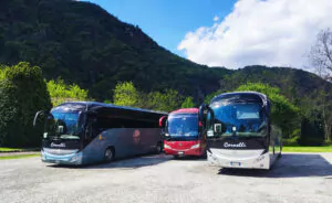 noleggio pullman 50 posti con autista