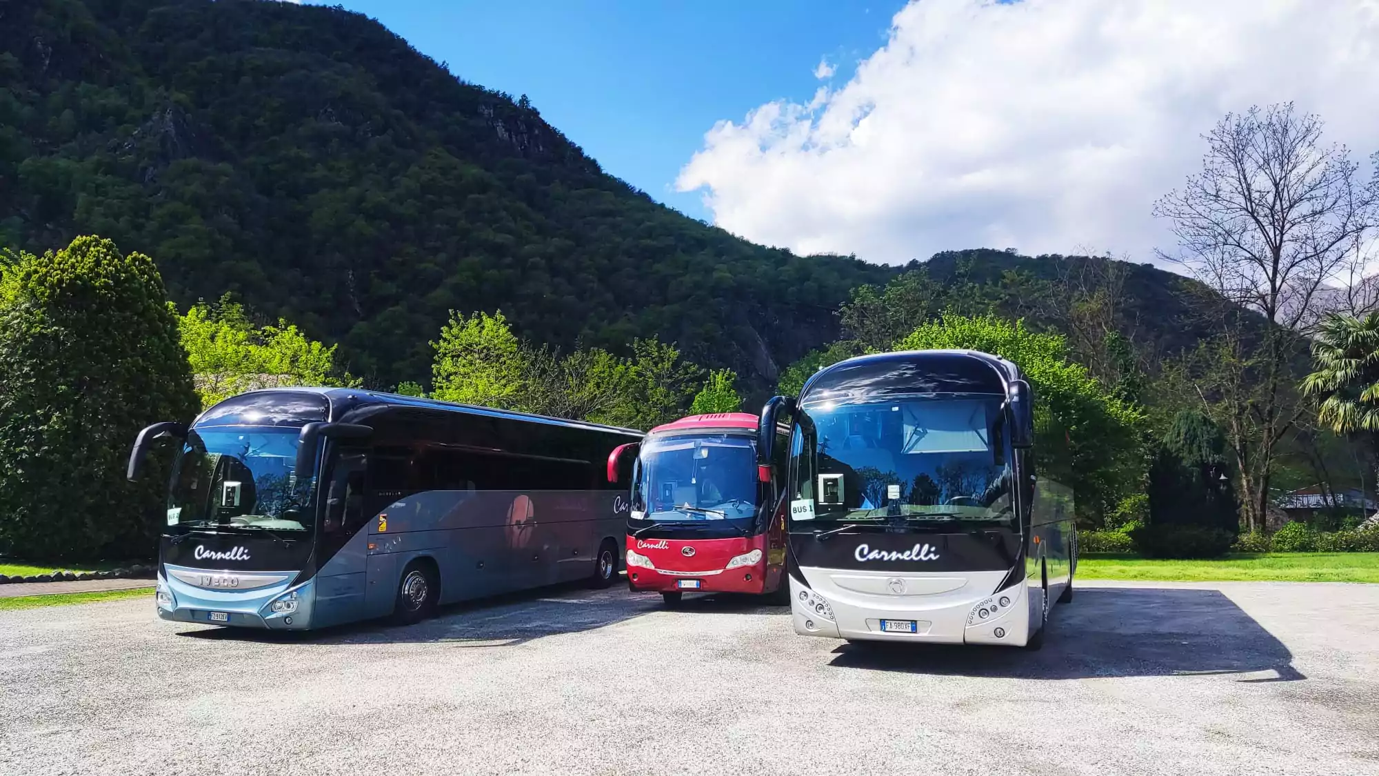 noleggio pullman 50 posti con autista