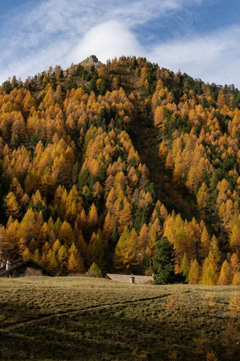 foliage in Val Camonica e Parco Nazionale dello Stelvio
