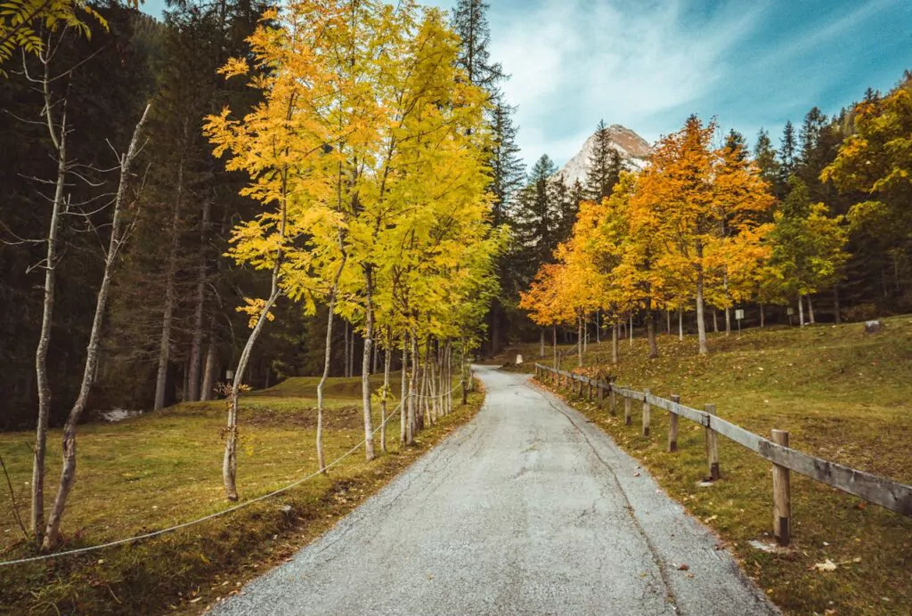 Tour luoghi del foliage in lombardia con autoservizi carnelli